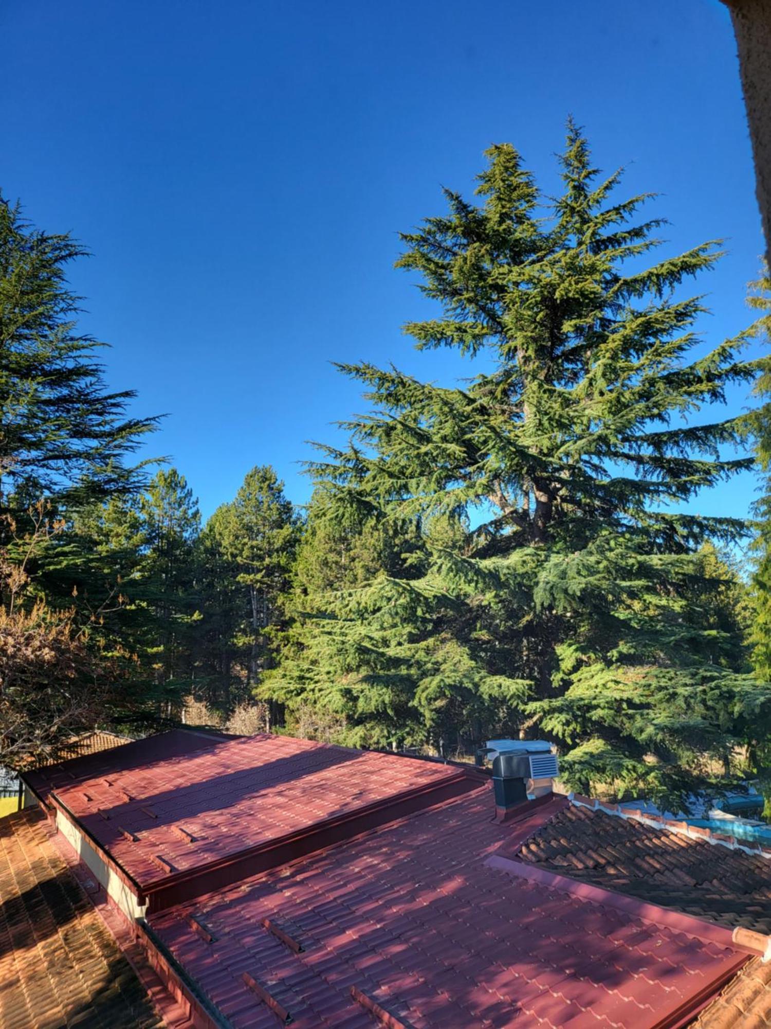 Mayberry Lake - Villa Medijapark بريتور المظهر الخارجي الصورة